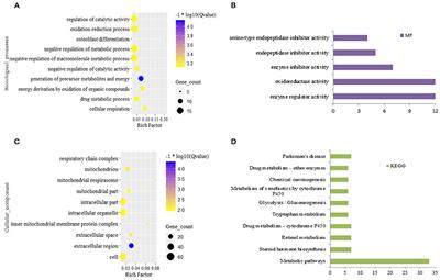 Metabolic Regulations by lncRNA, miRNA, and ceRNA Under Grass-Fed and Grain-Fed Regimens in Angus Beef Cattle